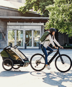 Bike Rental - Bike with chariot (for kids)