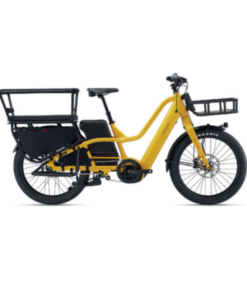 Bike Rental - Electric Cargo Bike