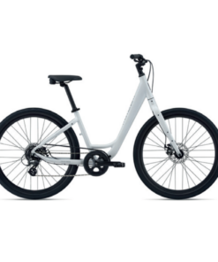 Bike Rental - Recreational Bike