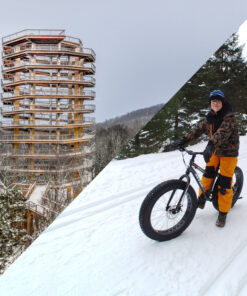 Bike Rental - Treetop Walk Package (4-6h)