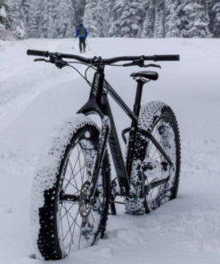 Biking - Fat Bike Rental
