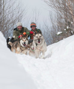 Dog Sled Tours - Personalized Adventure - Mont-Tremblant