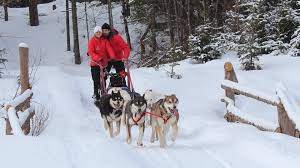 Dog Sled Trip - Valley Adventure - Mont-Tremblant