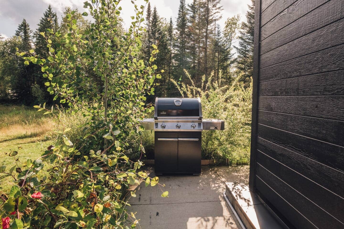 Lakefront Cottage in Mont Tremblant Guide