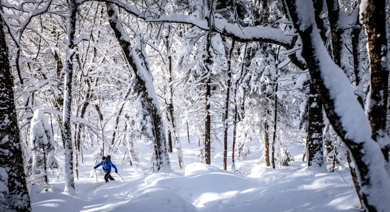 Mont Tremblant