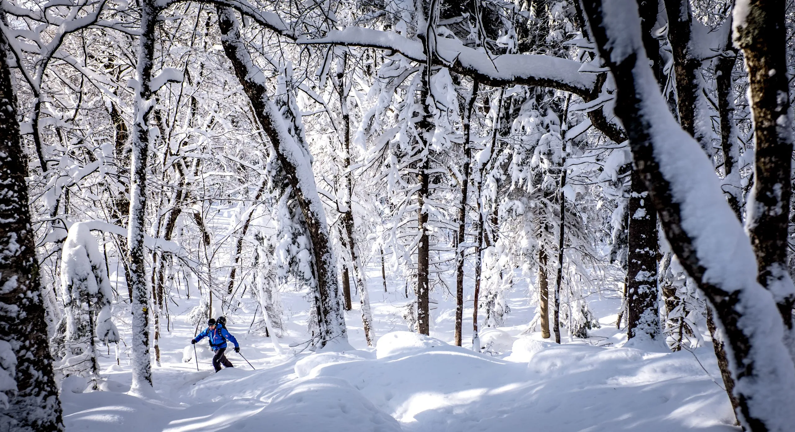 Mont Tremblant experience