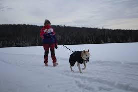Snowshoe Joering with Dogs (1h)
