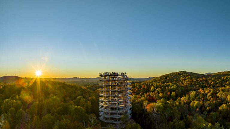Treetop Walk