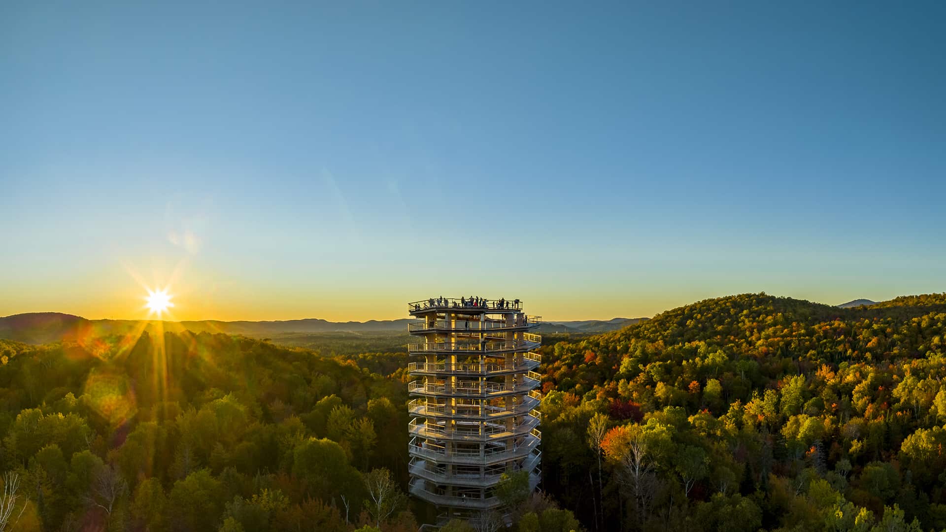 Treetop Walk