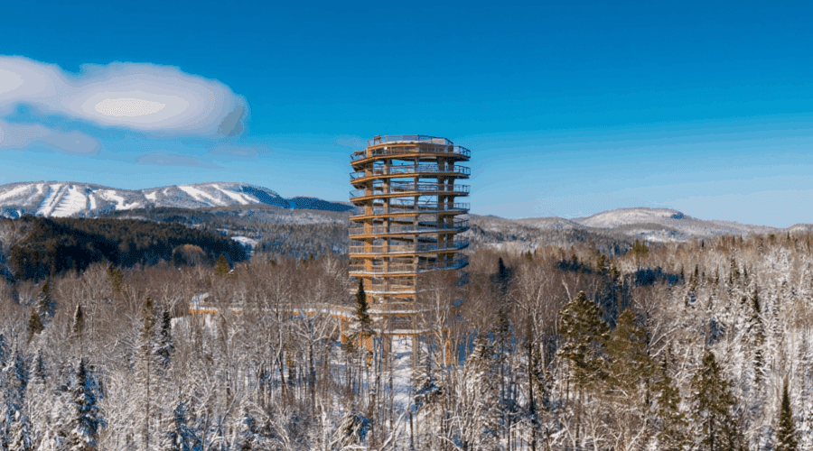 Treetop Walk