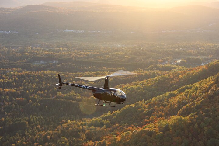 Helicopter Flights