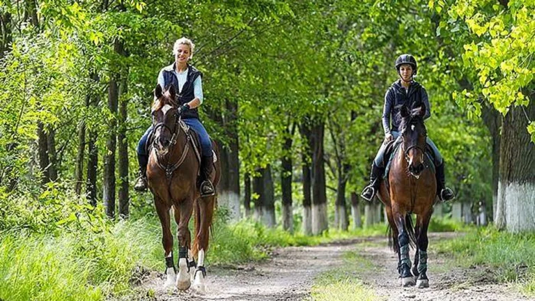 Cours d'équitation -Horseback riding Mont Tremblant