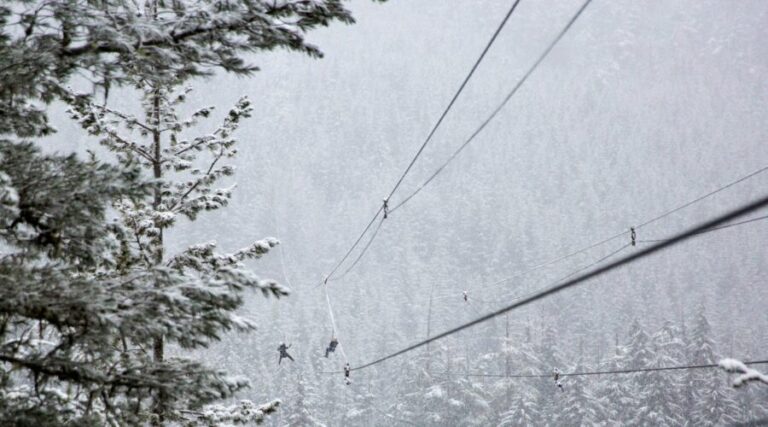 Ziplines Mont-Catherine