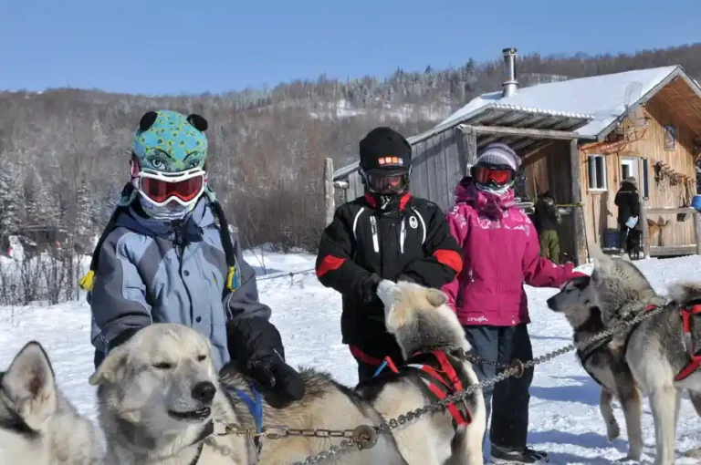 Sled Dog Kennel Visit & Bisons (2-3h)