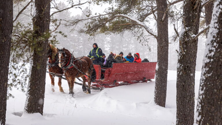 Sleigh rides (1h)
