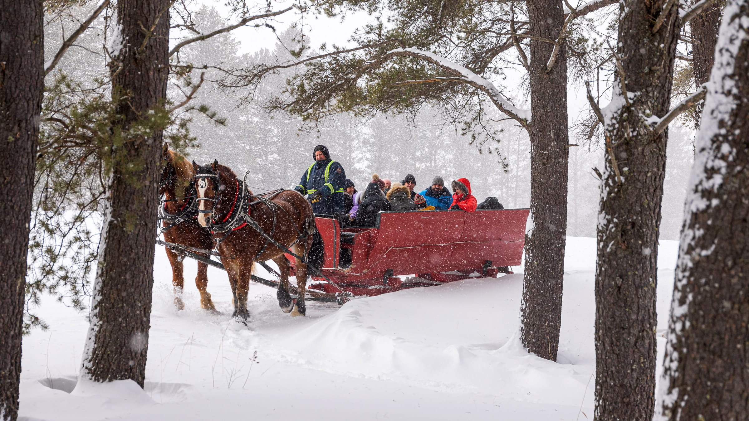 Sleigh rides (1h)