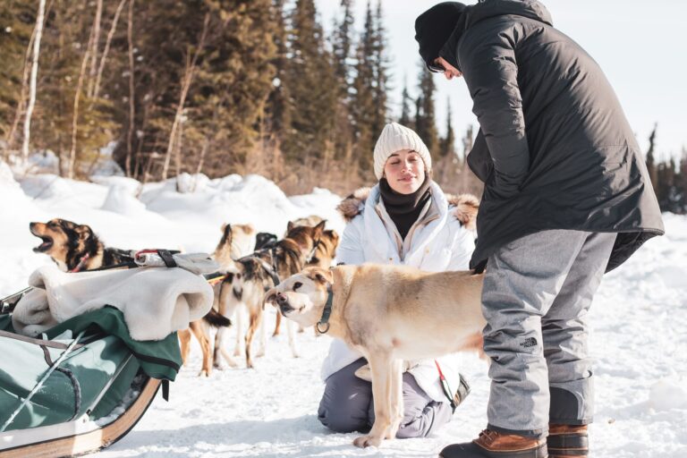 Randonnée chien - Sled Dog Hiking - Mont Tremblant