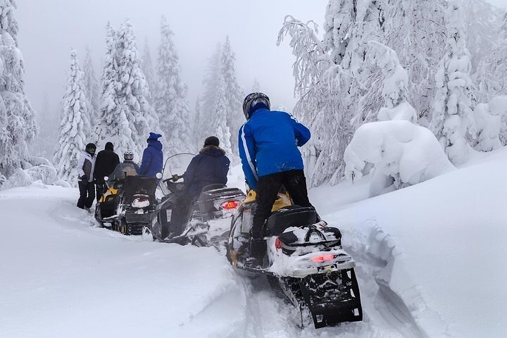 Snowmobiling Tremblant Guided (2h)